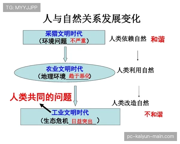 阿利松高位防线中的出击时机选择与后防协同机制解析